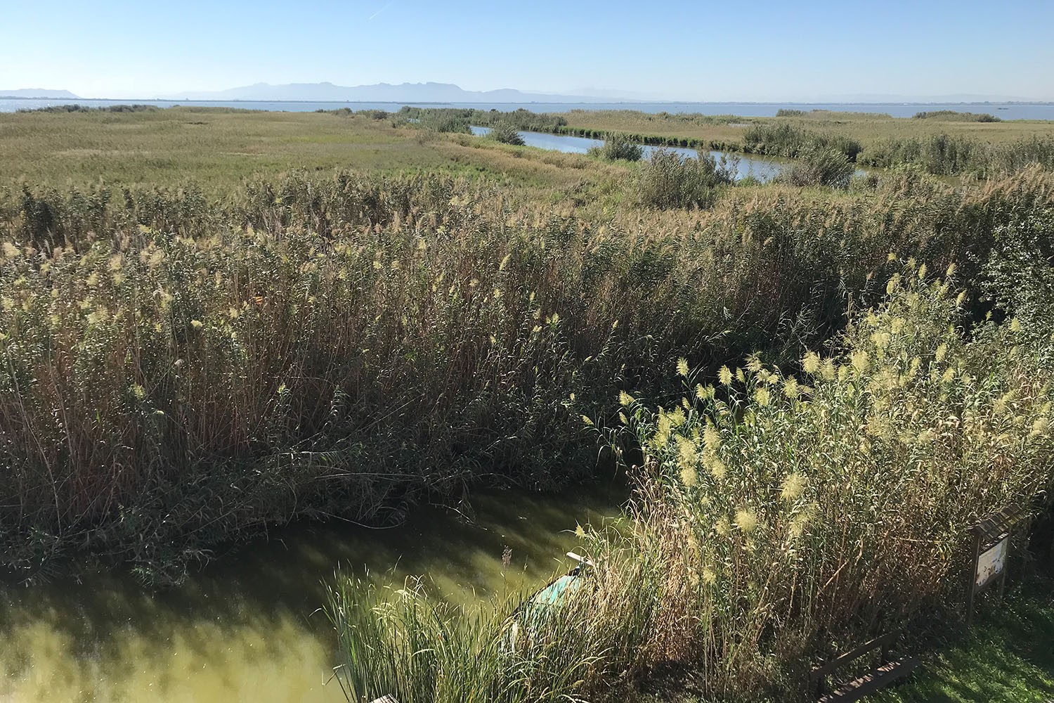 Water management in the Mediterranean